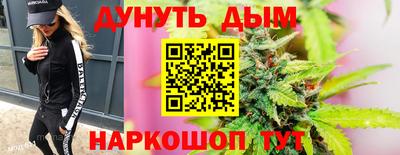 индика Обь