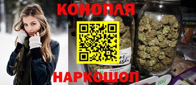 индика Обь