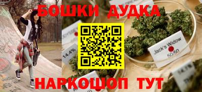 индика Обь