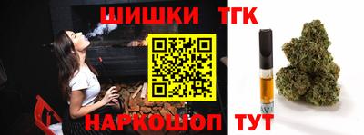 индика Обь