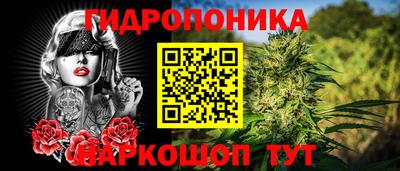 индика Обь