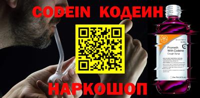 индика Обь